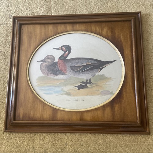 Vintage florence wood - florence, framed
