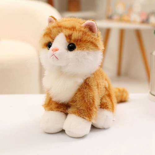 Cat teddy for home decor - cat,