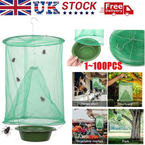 The ranch fly trap - fly,