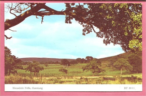 Bleasdale fells garstang - bleasdale, fells,