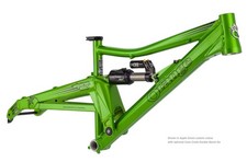 Frame Pivot Bearing Kit |