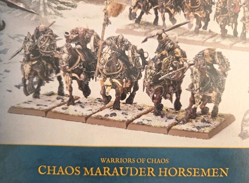 Warriors chaos - warriors,