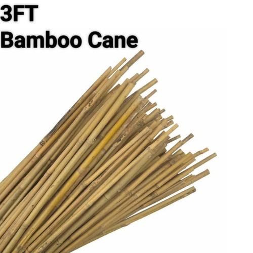 3ft bamboo garden - 3ft, canes