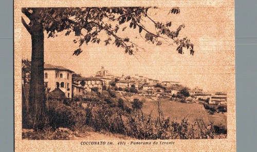Asti cocconato panorama from - asti,