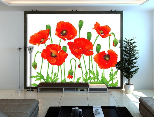Red poppy n6679 wallpaper - n6679,