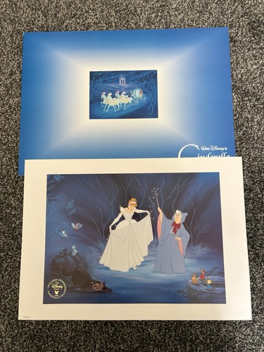 Disney store limited edition - store,