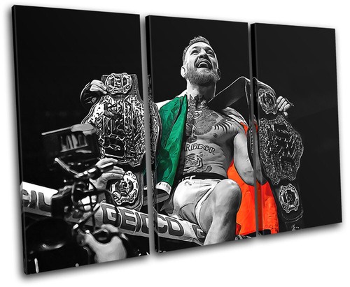 Conor mcgregor ufc - mcgregor,