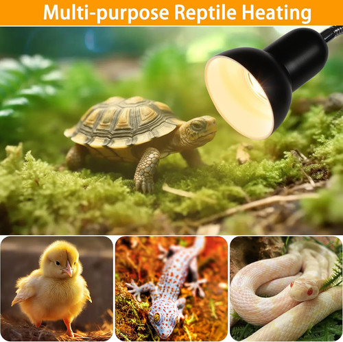 Tortoise heat lamp - heat, with