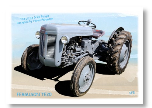 Ferguson te20 little grey - little,