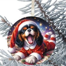 Cavalier king charles spaniel - cavalier,