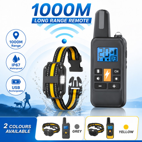 1000m dog training - training, collar