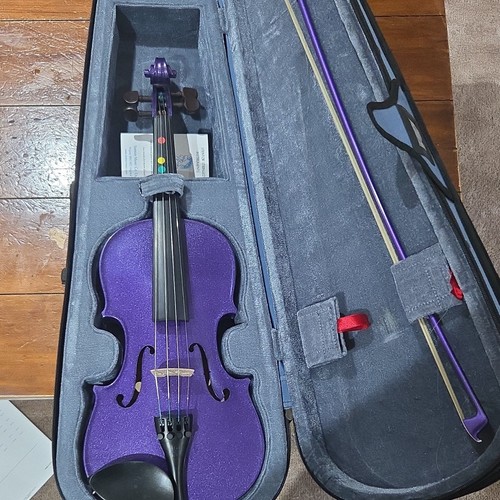 Harlequin stentor violin - a,