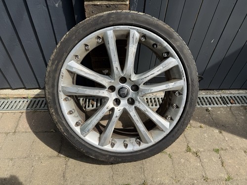 Genuine jaguar senta silver - senta,