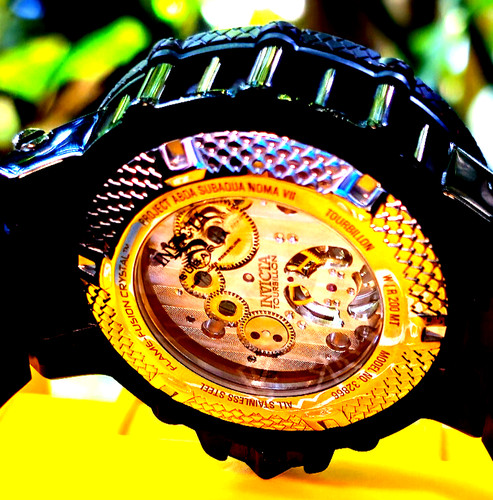Invicta subaqua noma - invicta,