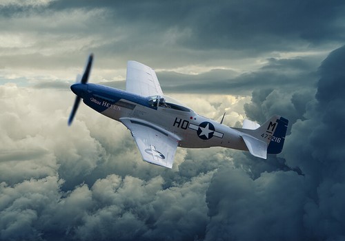 Mustang miss helen grey - helen,,