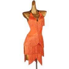Ballroom Latin Rumba Samba Salsa Fringes Rhythm Ballroom Competition Dance Dress