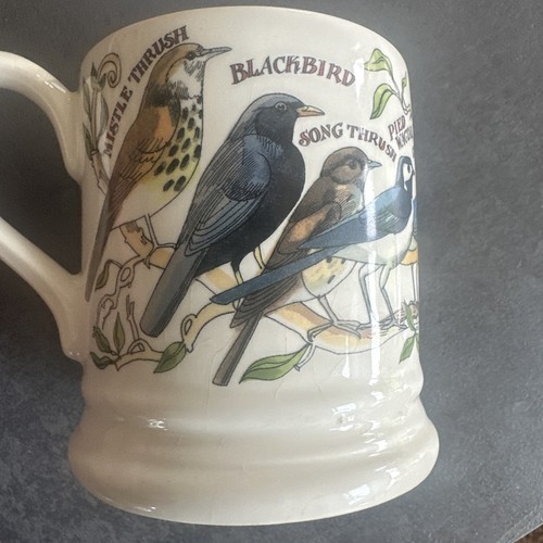 Emma bridgewater garden - bridgewater,