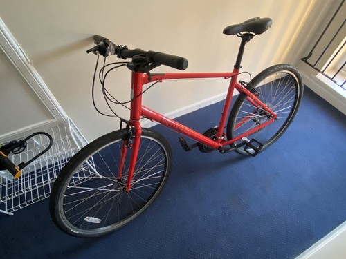 Ridgeback motion road - ridgeback, red