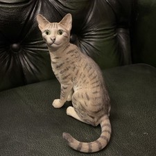 Grey green Tabby Bengal Cat