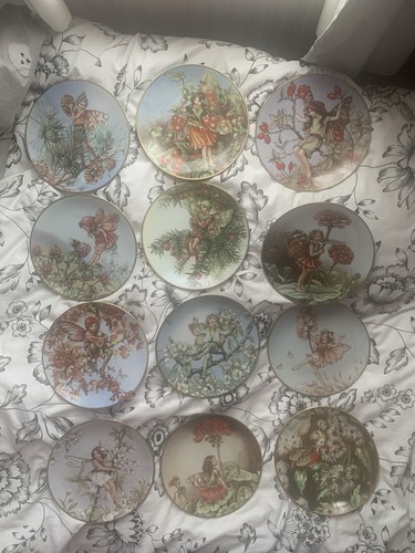 Year flower fairy - of, plates