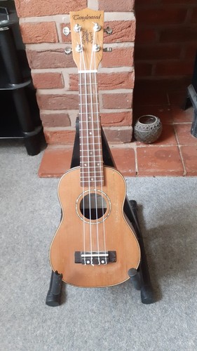 Tanglewood tribal spirit - tanglewood,