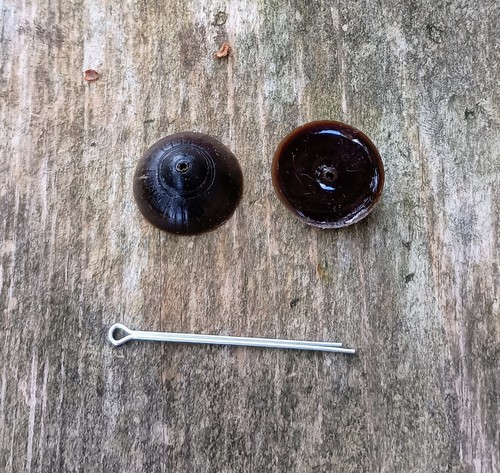 Brush buttons frisk - buttons.,