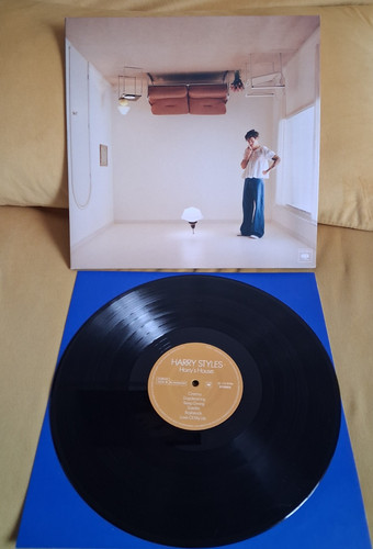 Harry styles vinyl record - harry,