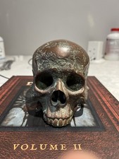 Cold Cast Bronze Skull