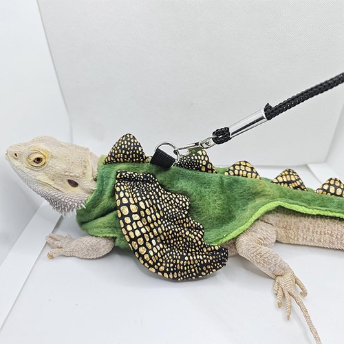 Bearded dragon reptile harness - dragon,