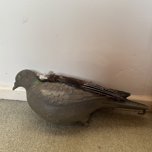 Plastic woodpigeon decoys - plastic,