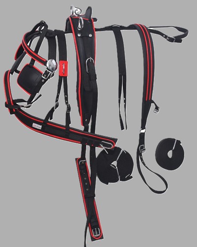 Nylon webbing driving harness - nylon,