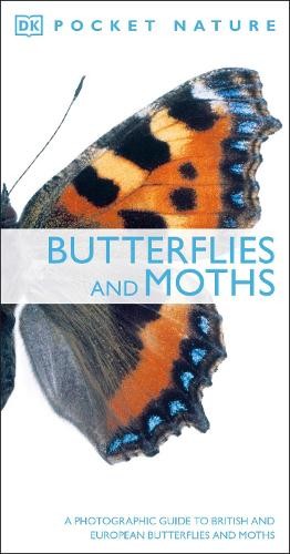 Butterflies and moths - butterflies,