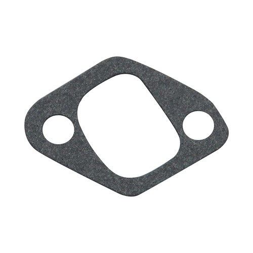 Gasket for intake manifold