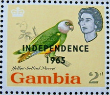 GAMBIA 1965 SG218 2d. SENEGAL PARROT  -  MNH