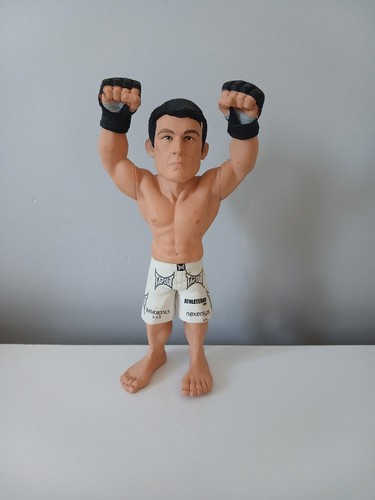 Ufc round chael sonnen - ufc,