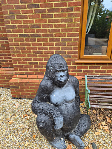 Grey black resin gorilla - resin,