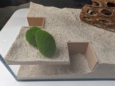 Corner Aquarium and Terrarium