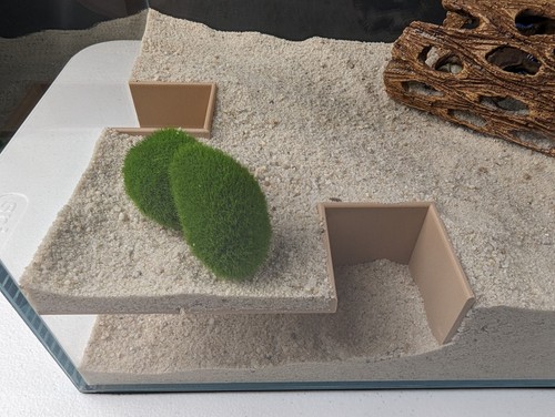 Corner aquarium and terrarium - aquarium,