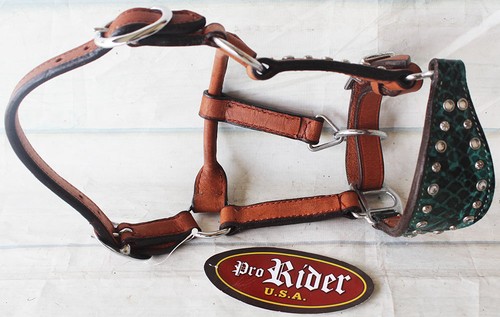 Horse noseband tack leather - noseband,