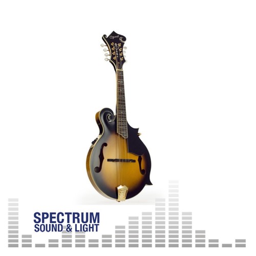Ozark mandolin electro - mandolin, 'f'