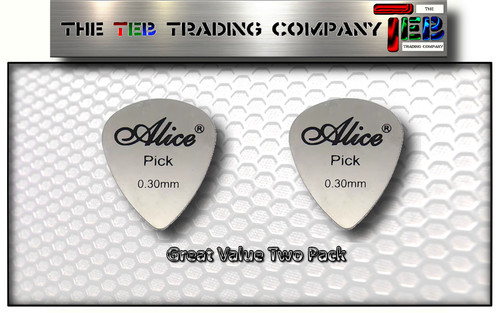Stainless steel guitar - steel,