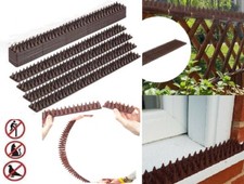 Wall fence spikes - wall, intruder