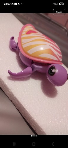 Little live pets - live, purple