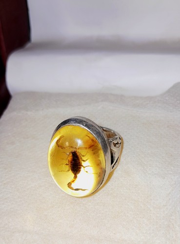 Amber ring with real - with, scorpion