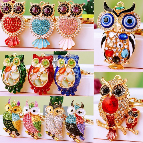Colourful owl animals wild - colourful,