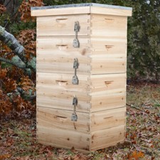 4 Tiers Langstroth Beehive