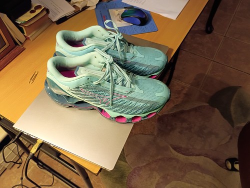 Mizuno wave prophecy - wave, 12