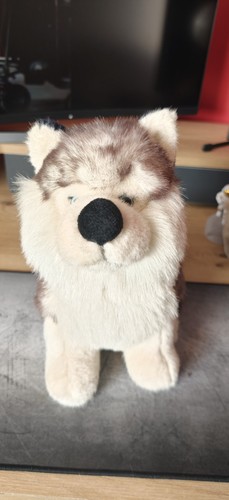 Cute plush husky dog soft - plush, toy