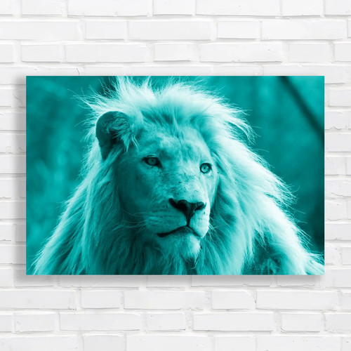 Stunning lion captivating - stunning,