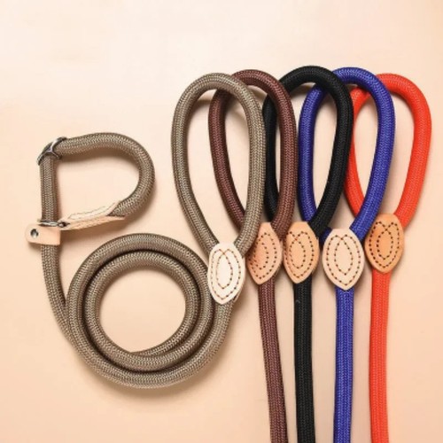 Dog leash slip rope lead - slip,